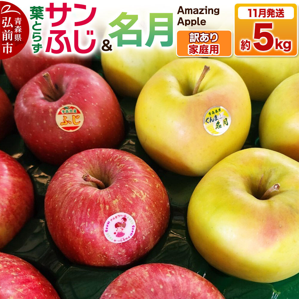 【26年11月下旬発送】りんご 葉取らずサンふじ＆名月 詰め合わせ【訳あり】家庭用 約5kg [りんご サンふじ 葉とらず ふじ 名月 訳あり 家庭用 5kg 詰め合わせ セット アップル おいしい 果実 果物 美味 葉っぱ 林檎 青森県 弘前市]