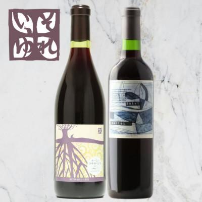 ふるさと納税 山梨市 旭洋酒　ルージュ クサカベンヌ/それいゆメルロー　720ml×2本セット