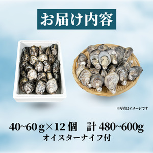 牡蠣 12個 計480g～600g 生食用 殻付きかき