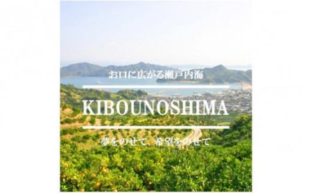 希望の島 せとか 特選品 大玉 約1.5kg（6玉） 愛媛 中島産( みかん フルーツ 果物 みかん オレンジ 柑橘 愛媛県松山市 愛媛県 松山市 愛媛 松山 みかん フルーツ みかん 果物 みかん 