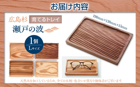 Ten＆O　広島杉　育てるトレイ　「瀬戸の波」　Lサイズ