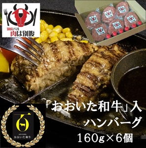 おおいた和牛入り「肉は別腹」ハンバーグ 【おおいた和牛 肉は別腹 ハンバーグ はんばーぐ 肉 牛肉 ソース付き 惣菜 チルド 内閣総理大臣賞 厳選 贅沢 ご褒美 オリジナル 黄金比率 手ごね 急速冷凍