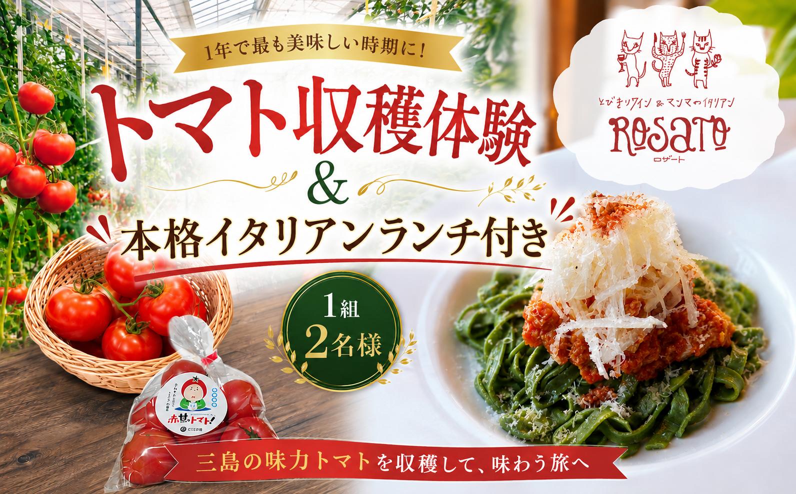 
                  トマト収穫体験＆本格イタリアンランチ付き 《1組2名様》 フルーツトマト 三島野菜 収穫 体験 農業体験 体験型返礼品 イタリアン コース料理 ランチ ペア体験 大人の休日 自然の恵み 三島の味力トマト 赤甘のトマト ひろせ農園 飲食 レストラン ROSATO 静岡県 三島市
                