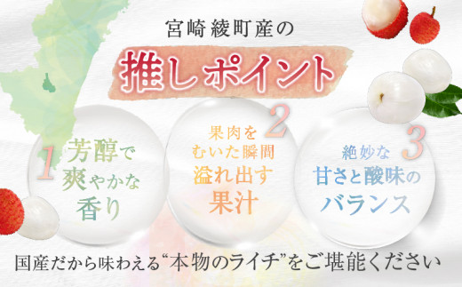 【先行予約/数量限定】希少 国産 綾生ライチ（化粧箱入り）  宮崎県 綾町産 ライチ 贈答 ギフト プレゼント 国産ライチ 果物 フルーツ 生ライチ 産地直送 期間限定 送料無料 お中元【JA綾町】_