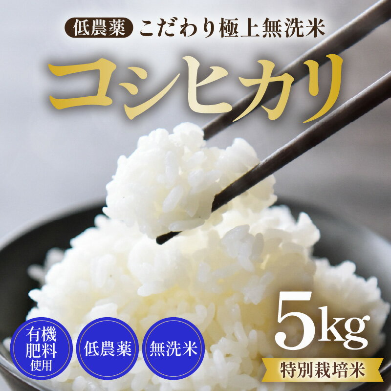 【ふるさと納税】【先行予約】【令和7年産 新米】特別栽培米 コシヒカリ 5kg 無洗米 低農薬 《食味値85点以上！こだわり極上無洗米》 / 福井県 あわら 北陸 米 お米 人気 高品質 鮮度抜群 新米 ※2025年9月上旬より順次発送