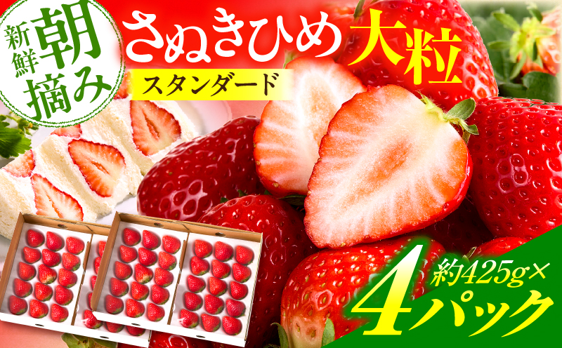 【先行予約】『苺音ファームの』おうちでいちご狩り気分セット　～さぬきひめいちごをいっぱい食べられる大容量セット～　約1.7kg|イチゴ フルーツ 旬のいちご 旬 果物 デザート 旬の果物 果実 ご褒美