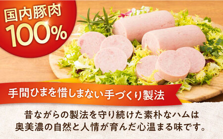 【3回定期便】明方ハム詰め合わせ Ａセット / 明方 ハム 厚切り ボロニアソーセージ ハムステーキ 朝食 フランクフルト ウインナー BBQ ソーセージ フランク 箱入り ギフト / 御嵩町 / め
