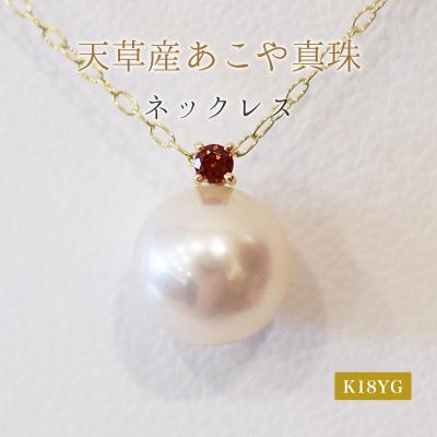 ふるさと納税 天草市 真珠 ネックレス 8-8.5mm ホワイトピンク 1月 ガーネットK18YG_S101-502