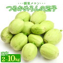 【ふるさと納税】つるかめろんの玉子(摘果メロン) （選べる内容量：2kg／4.5kg／10kg） - マスクメロン めろん フルーツ くだもの 果物 おやつ おつまみ アレンジ お漬物 お漬け物 炒め物 天ぷら 子メロン 小さい 産地直送 篤農 高知県 香南市【冷蔵】