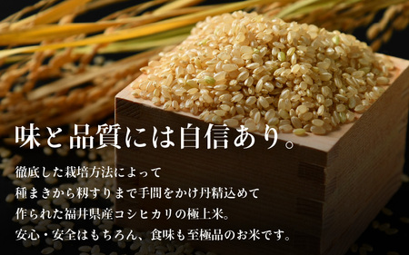 【先行予約】【令和7年産】《定期便3回》コシヒカリ 玄米 5kg （計15kg）特別栽培米 農薬不使用 化学肥料不使用 ／ 残留農薬ゼロ 高品質 鮮度抜群 福井県産 ブランド米 ※2025年10月上旬