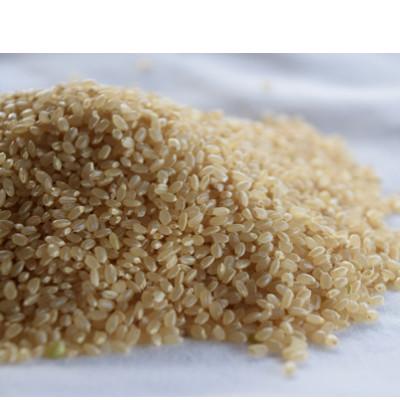 ふるさと納税 佐渡市 自社栽培米新潟県【佐渡産】こしひかり(玄米10kg)