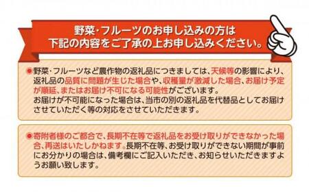 【予約受付】 数量限定 シャインマスカット 2房 約1.2kg 9月から順次発送 【 土と湧水にこだわり 愛情を込めて 育て上げました 】 沼津市 産地直送 朝採り ぶどう 沼津市 静岡 ぶどう ぶど