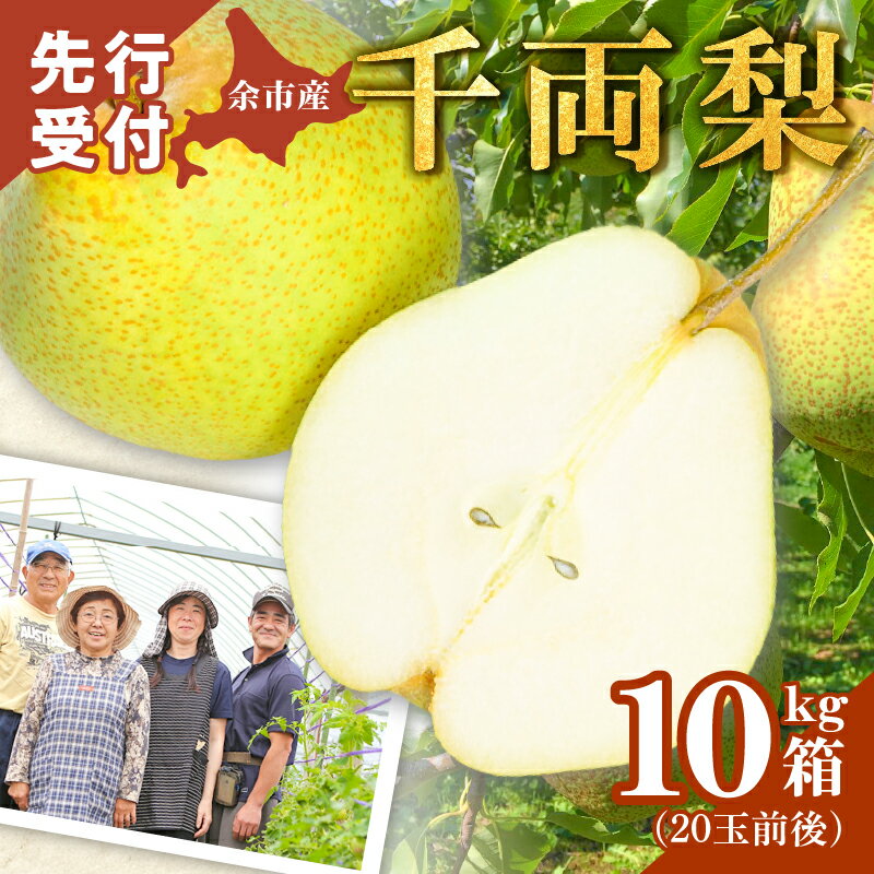 【ふるさと納税】【2025年9月下旬以降発送】千両梨 10kg箱 ( 23玉前後 ) シャキシャキとした食感とサッパリとした甘みが特徴 季節限定 季節の味覚 23玉 北海道産 余市町産 梨 果物 フルーツ 贈り物 ギフト フルーツギフト お取り寄せ 北海道 余市町 送料無料