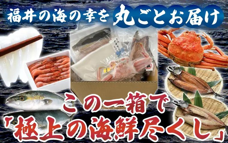 海鮮福袋 満喫セット 5種（カニ エビ イカ サバ ハマチ）【海鮮 絶品】 [m17-d010]
