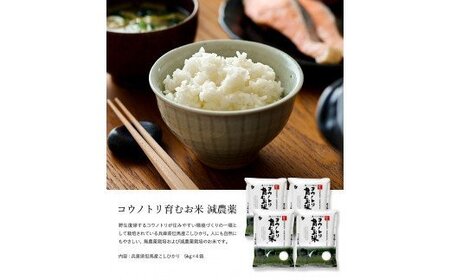 【令和5年産】コウノトリ育むお米減農薬【5kg×4袋】（94-004）