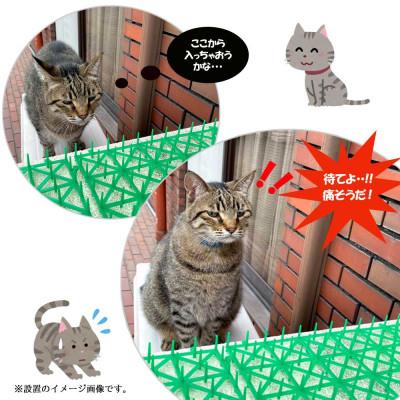 ふるさと納税 新居浜市 猫侵入防止 シート グリーン 25枚 セット ザ.ストップネコ(ロング) 防鳥 防獣 鈴木樹脂工業 |  | 02