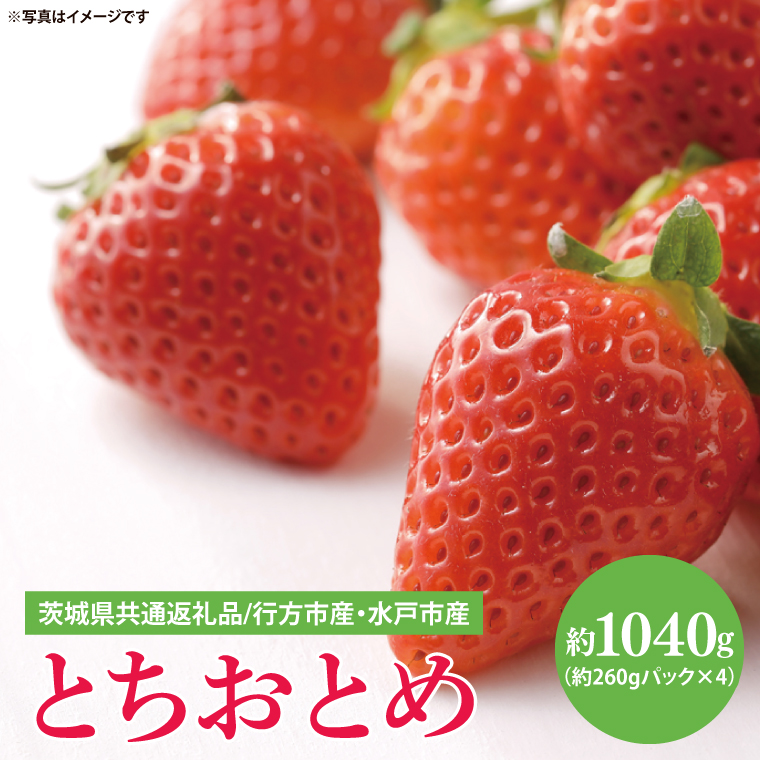 【茨城県共通返礼品/ 行方市産・水戸市産】【2027年1月中旬より順次発送】いちご 「とちおとめ」 約260gパック×4【イチゴ 苺 フルーツ 果物 甘い 大粒】(CS102)