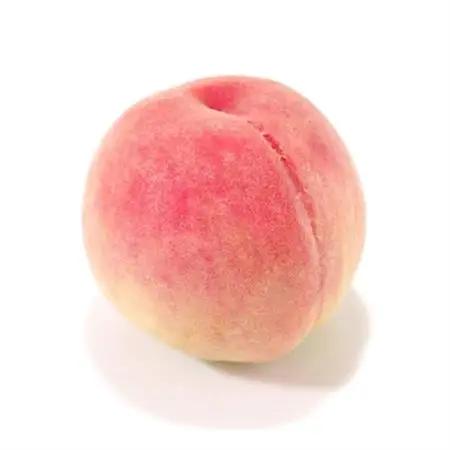 【発送月固定定期便】山梨旬の味覚定期便【桃 約2kg/2色葡萄 1kg以上】全2回【配送不可地域：離島】【4082866】
