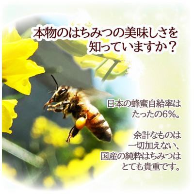 ふるさと納税 東久留米市 【東京都東久留米市】百花純粋生はちみつ 非加熱 140g×1本 野島養蜂場 |  | 01