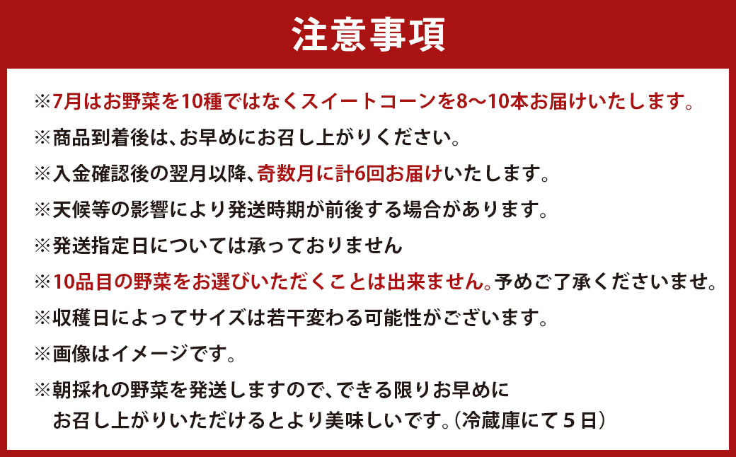 【奇数月定期便年6回】新鮮 直送 若松旬野菜セット 定期便 採れたて 旬野菜