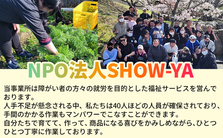 ＜天日干し芋 紅はるか・安納芋 食べ比べセット 400g（200g×2袋）＞ 1袋約8枚 西予市産 愛媛県産 国産 さつま芋 いも サツマイモ ほし芋 おやつ 和菓子 お菓子 和スイーツ NPO法人S