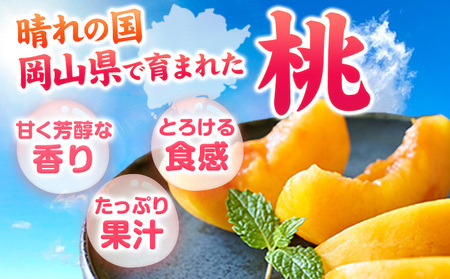 岡山の黄桃 約1kg《8月下旬-9月下旬頃出荷》｜桃桃桃桃桃桃