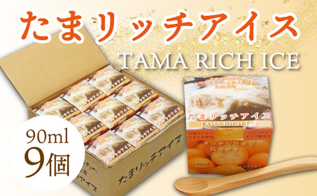 AQ-A1 串間市産きんかんたまたま使用！たまリッチアイス詰合せ(9個)【たまたまクラブ】