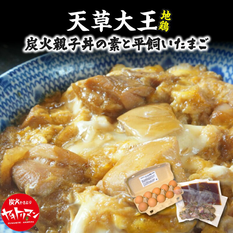 【ふるさと納税】親子丼の素 150g×3食 平飼い たまご 10個 セット 小分け 地鶏 真空包装 天草大王 ヤキトリマンエッグ 卵かけご飯 おうちごはん 熊本県 天草 お取り寄せ お取り寄せグルメ 国産 食品 送料無料