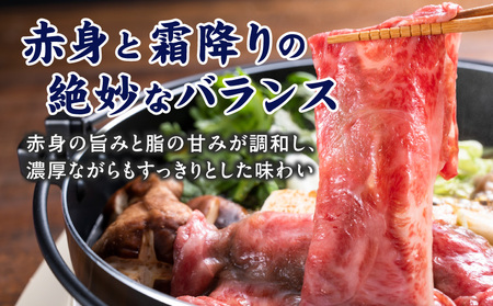 宮崎牛【赤身霜降り】すきしゃぶ700g_17-6507_(都城市)