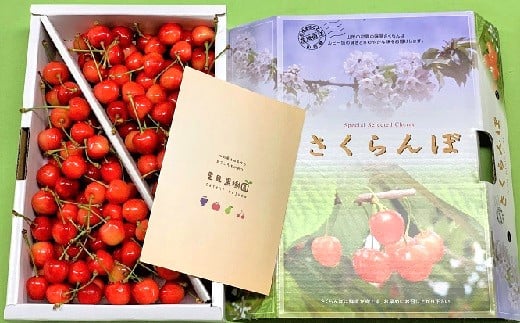 さくらんぼ（佐藤錦）１ｋｇ以上　Ｌサイズ以上　秀品　0079-2502