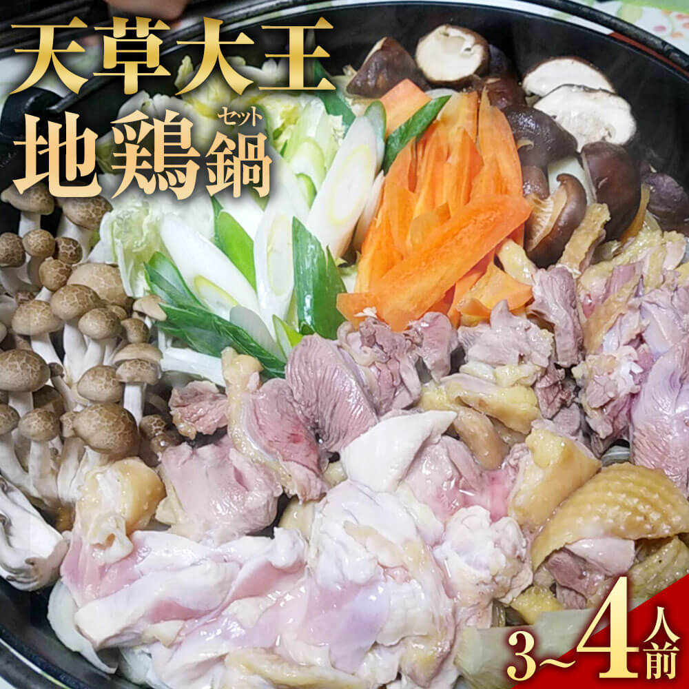 【ふるさと納税】くまもと直送 天草大王 地鶏鍋セット（3～4人前） 熊本地鶏 地鶏 鶏肉 肉 お肉 ぶつ切り肉 カット肉 つみれ だご麺 スープ付き スープ 地鶏鍋 鍋 鍋セット 冷凍 熊本県産 九州産 お取り寄せ グルメ 国産 熊本県 相良村 送料無料