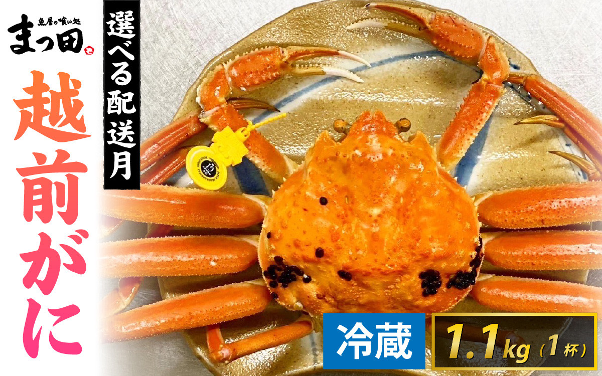 
            【先行予約】まっ田の越前がに 1.1kg×1杯【11月～3月配送】[L-007009] / 福井県 福井 オス 雄 ズワイガニ ボイル 冷蔵 越前ガニ 越前がに 越前カニ ずわいがに ずわい蟹 かに カニ 蟹 指定 茹で すがた 姿
          