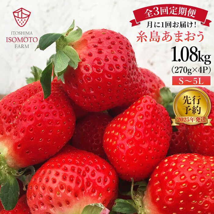 【全3回定期便】糸島 あまおう 270g×4パック 【2025年1月~3月にて順次発送】 (A品B品含むS~2L) 糸島市 / 磯本農園 / TANNAL イチゴ/いちご [ATB011]