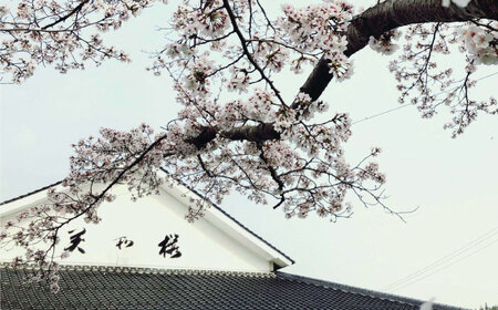 【先行予約】美和桜 特別純米酒 ＜2026年3月上旬から順次発送＞ お酒 地酒 酒 純米酒 広島 美和桜 [APBF010] 日本酒 