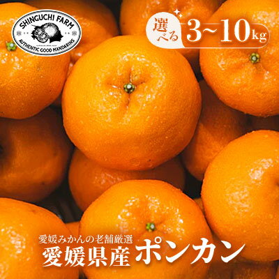【ふるさと納税】【甘味と酸味のバランスが絶妙】ポンカン 　 3kg / 5kg / 10kg 家庭用【新口農園】_ みかん ミカン 蜜柑 ポンカン ぽんかん 果物 くだもの フルーツ デザート おいしい 甘い かんきつ 柑橘 柑橘類 国産 愛媛 えひめ 愛媛県 八幡浜市 家庭用【G1614988】