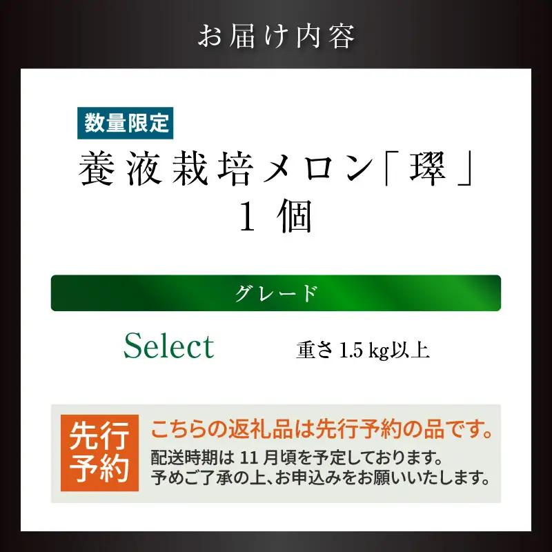 【先行予約】養液栽培メロン「璻」1玉【Select】（重さ1.5kg以上）｜メロン めろん フルーツ 常滑市
