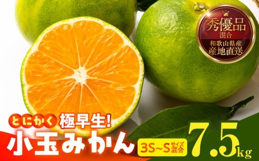 
                  【2026年先行予約】とにかく小玉 みかん 極早生 箱込 7.5kg ( 内容量 6.8kg ) 3S～Sサイズ 秀品 優品 混合 有田みかん 和歌山県産_MK1075
                