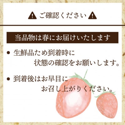 【2026年2月上旬～4月下旬発送予定】博多あまおう(春)(250g-270g)×2パック(岡垣町)【配送不可地域：離島・北海道・沖縄県】