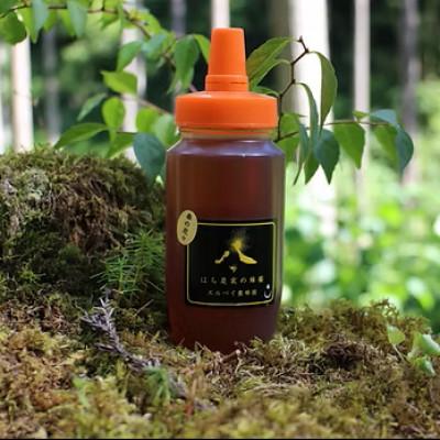 ふるさと納税 大仙市 【秋田県大仙市産】国産純粋はちみつ 『春の花々』250g×1(ご家庭用)