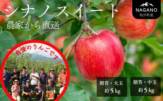 
                  りんご シナノスイート 大玉 or 中玉 約5kg 贈答／2026年10月中旬頃発送予定｜長野県 南信州 松川町産 ギフト りんご リンゴ 林檎 シナノスイート  農家直送 農家支援 産地直送 KR01 KR02
                