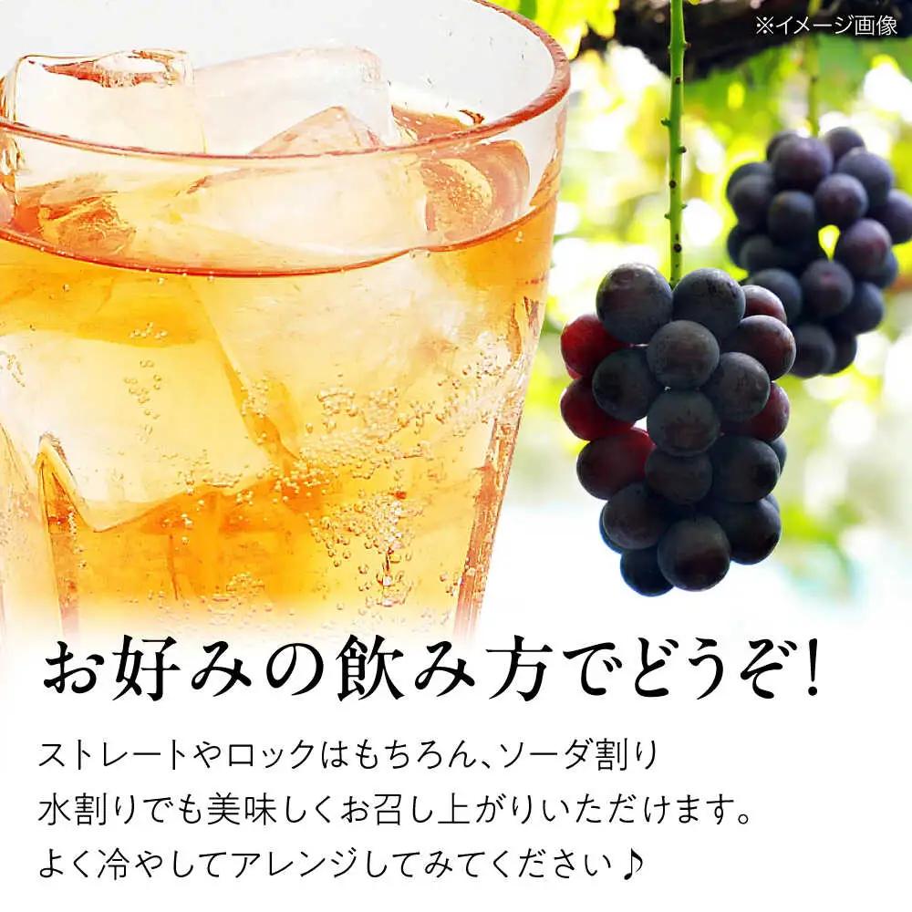 果実酒 ピオーネの雫  500ml×6本 ピオーネ リキュール 甘口 三次ワイナリー [APAZ117] お酒
