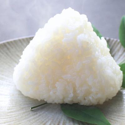 ふるさと納税 三条市 無洗米 コシヒカリ 6kg(2kg×3) 新潟県三条市産 [外山敏雄商店]【010S361】 |  | 01