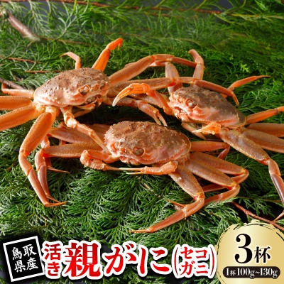 
                  ＜先行予約＞鳥取県産 活 親がに(セコガニ)100～130g×3杯 2026年11月発送【1653994】
                