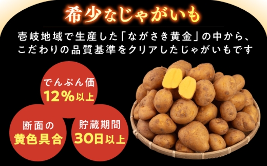 【先行予約】壱岐黄金じゃがいも 3kg（500g×6袋）【2027年2月中に発送】《壱岐市》【壱岐市農業協同組合】 じゃがいも ジャガイモ ポテト 野菜 季節の野菜 夏野菜 冬野菜 [JBO167]