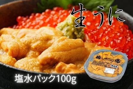 ＜12月15日決済分まで年内配送＞エゾバフンウニ塩水パック100g×1P A-61001