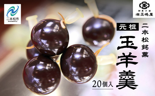 二本松の名物 銘菓《玉嶋屋の玉羊羹》20個入り 羊羹 ようかん 玉羊羹 銘菓 玉嶋屋 和菓子 餡子 あんこ おすすめ お中元 お歳暮 ギフト 二本松市 ふくしま 福島県 送料無料【株式会社玉嶋屋】