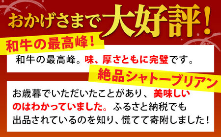 【A5ランクの超希少部位】佐賀牛 A5 シャトーブリアン 400g（200g×2枚）【山下牛舎】佐賀牛 牛肉 黒毛和牛 佐賀牛 牛肉 ヒレ 佐賀牛 牛肉 ステーキ 佐賀牛 牛肉 フィレ 佐賀牛 牛肉 