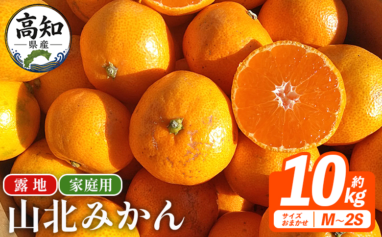 山北みかん（露地） 10.0kg 家庭用 sq-0004