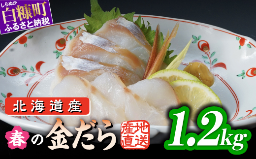 春の金だら【1.2kg】_A020-1800