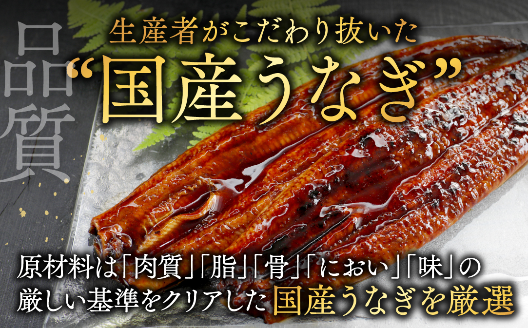 （6月）国産 特大 特上うなぎ(190g×4尾)